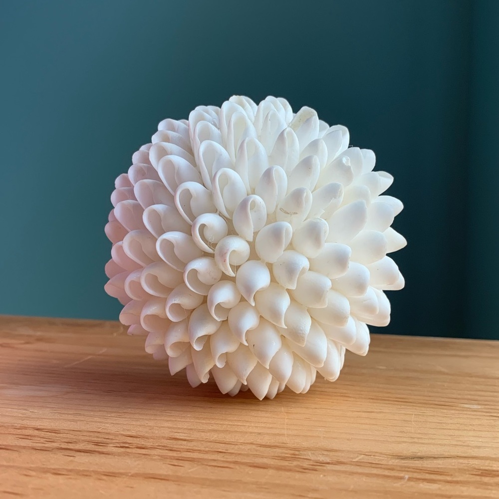 Decorative shell balls - Picture 1 of 3